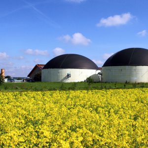Onderzoek Biogas installatie
